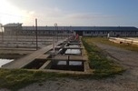 Stawowe gospodarstwo rybackie, hodowla pstrąga