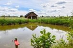 Świetnie funkcjonujący biznes Kemping Dziki Wschód