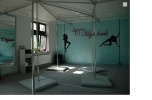 Szkoła pole dance