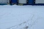 Szukam dyrektora- dyrektorki / współpraconika- współpracowniczki do produkcji