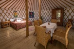 Szukam inwestora do rozbudowy istniejącego glampingu