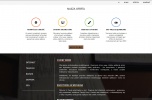 Szukam inwestora - działalność IT, tworzenie aplikacji internetowych