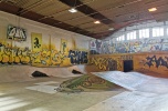 Szukam inwestora skatepark śląsk