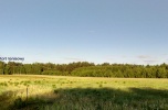 Szukam wspólnika