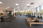 Top ekspozycja, branża fitness, showroom, salon