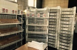 Tradycyjna piekarnia wraz z chrupiącym pieczywem i rynkiem zbytu