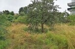 Wynajmę lub sprzedam nieruchomość