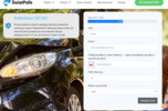 Zainwestuj w nową porównywarkę OC/AC, Travel oraz innych produktów finansowych
