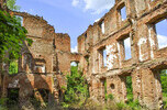 Założenie pałacowo-parkowe w Słobitach | 55 ha