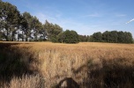 Złoże bursztynu - działka rolna Możdżanowo 4,8 ha - okazja inwestycji