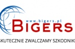 Zwalczanie szkodników, usługi